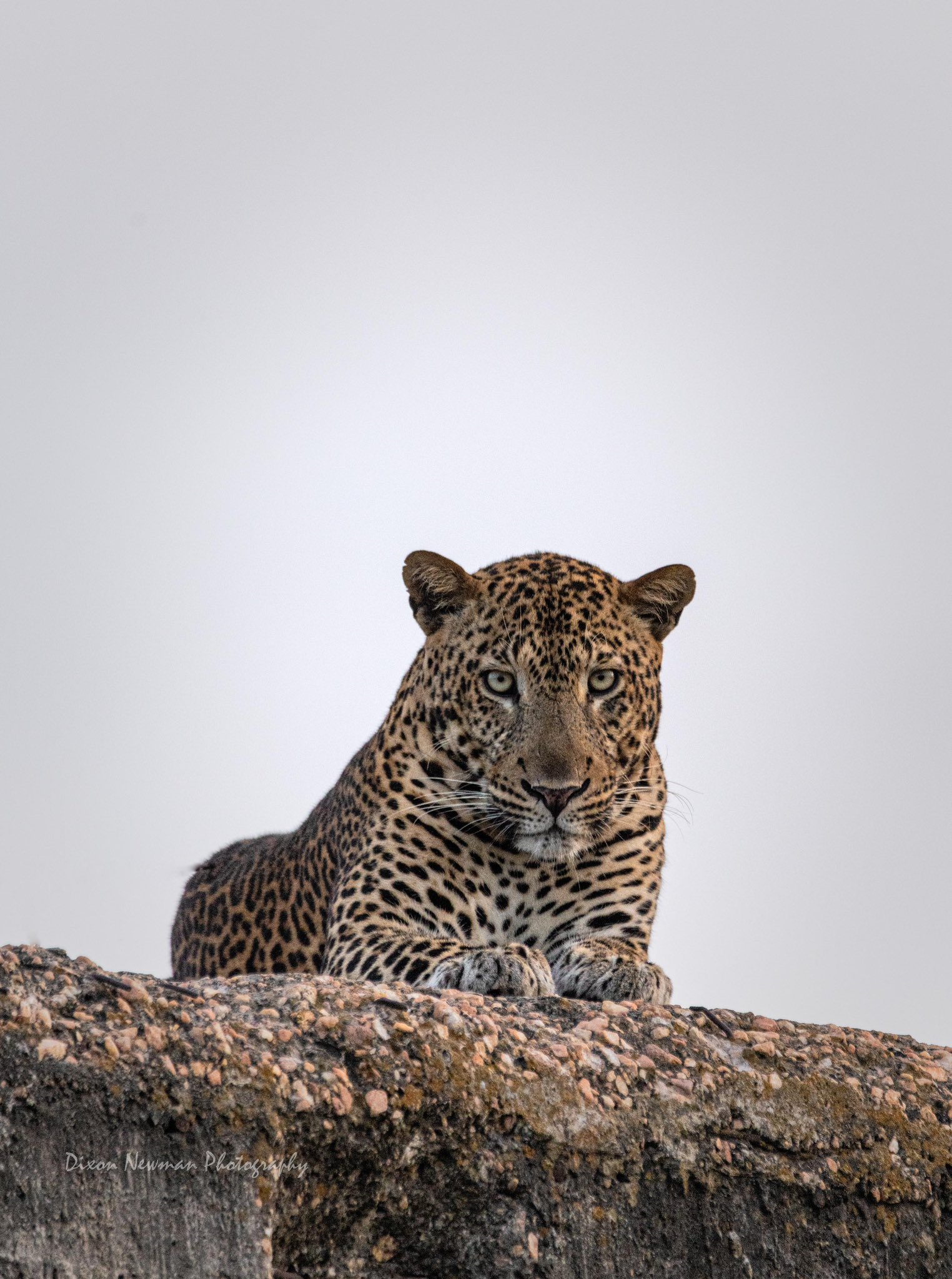 4 Day Akagera National Park Rwanda and Kigali