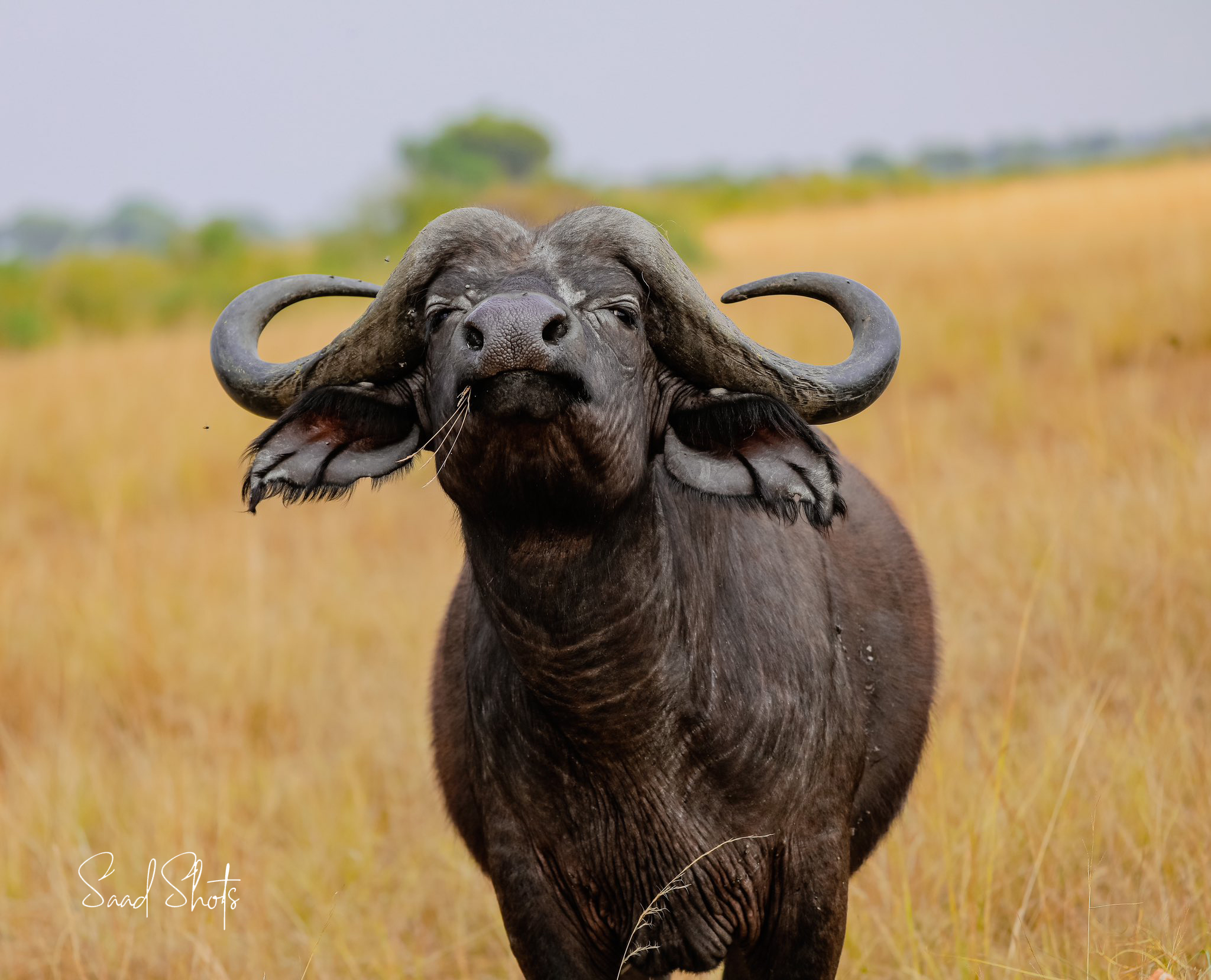 2 Day Akagera National Park Rwanda